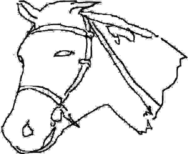 Printable Horse Head - ClipArt Best