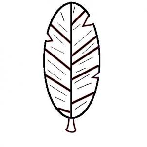 Best Photos of Indian Feather Coloring Page - Turkey Feather ...