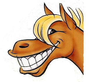 Horse Cartoon | Pony Horse, Funny ...