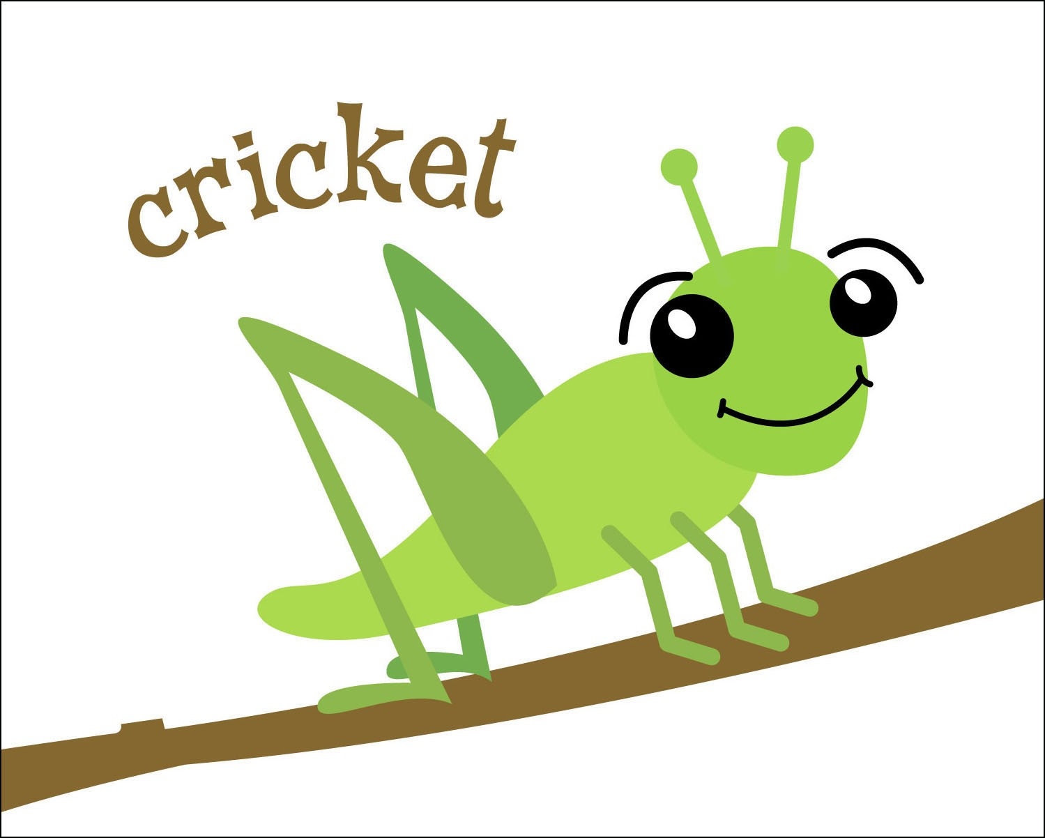 Insect cricket clipart