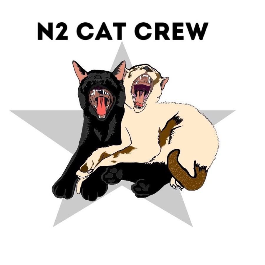 N2 Cat Crew - YouTube