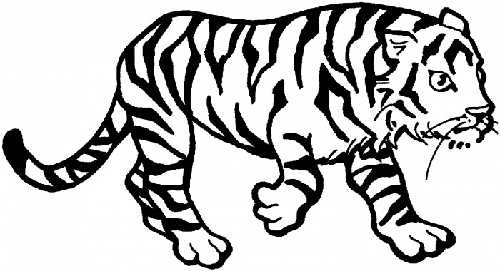 tiger clipart outline - photo #20