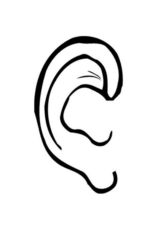 ears coloring pages - photo #23