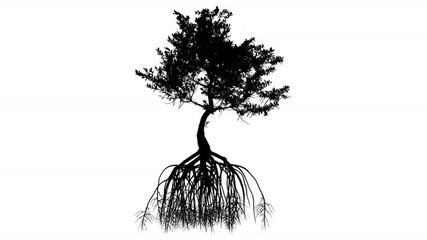 Animated Tree Roots - ClipArt Best