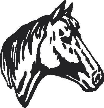 Animal Decals :: Horse Decals :: Horse Head Decal / Sticker ...