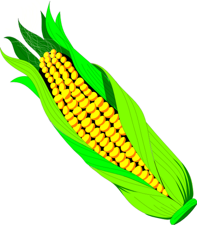 Corn Clip Art - Tumundografico