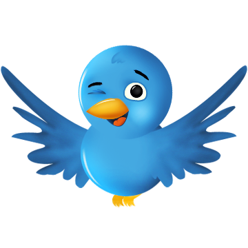 How to] Add Flying Twitter Bird In WordPress