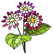Animated Spring Flowers