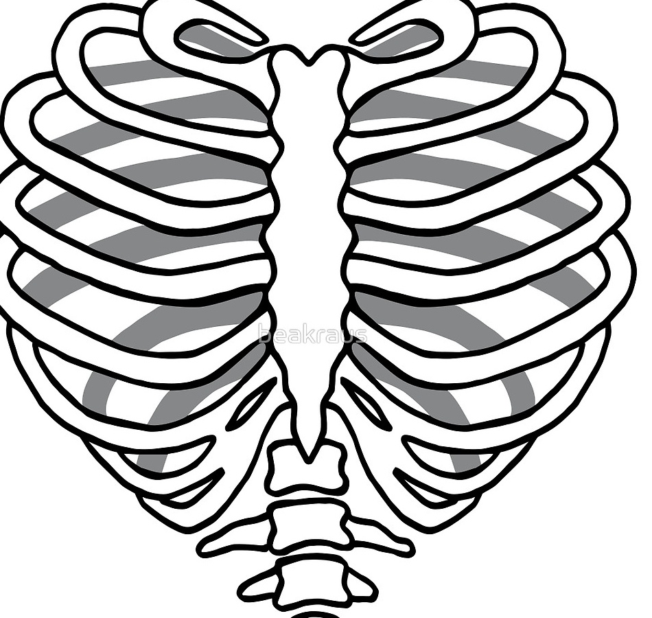 Rib Cage Printable