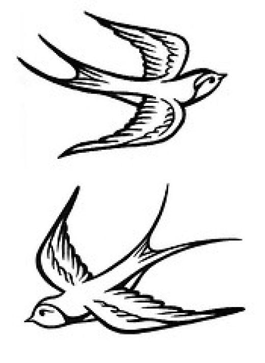 Dove Birds Drawings - ClipArt Best