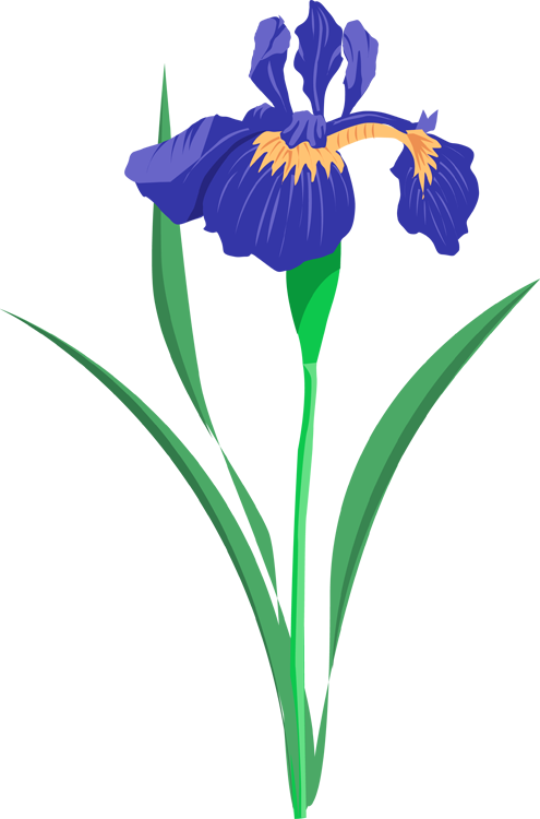 clipart iris flower - photo #3