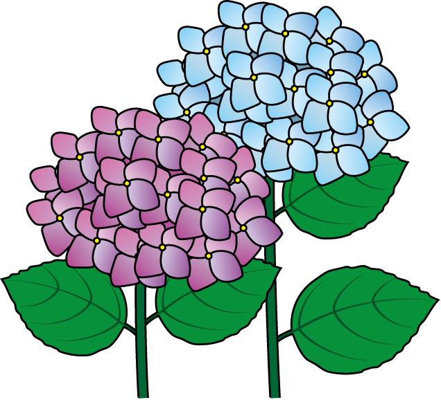 free clip art hydrangea flowers - photo #14