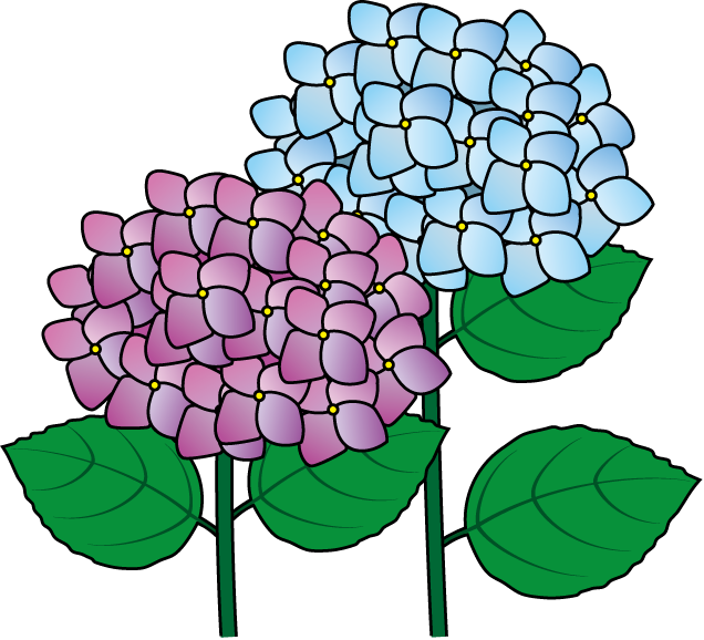 green hydrangea clip art - photo #7