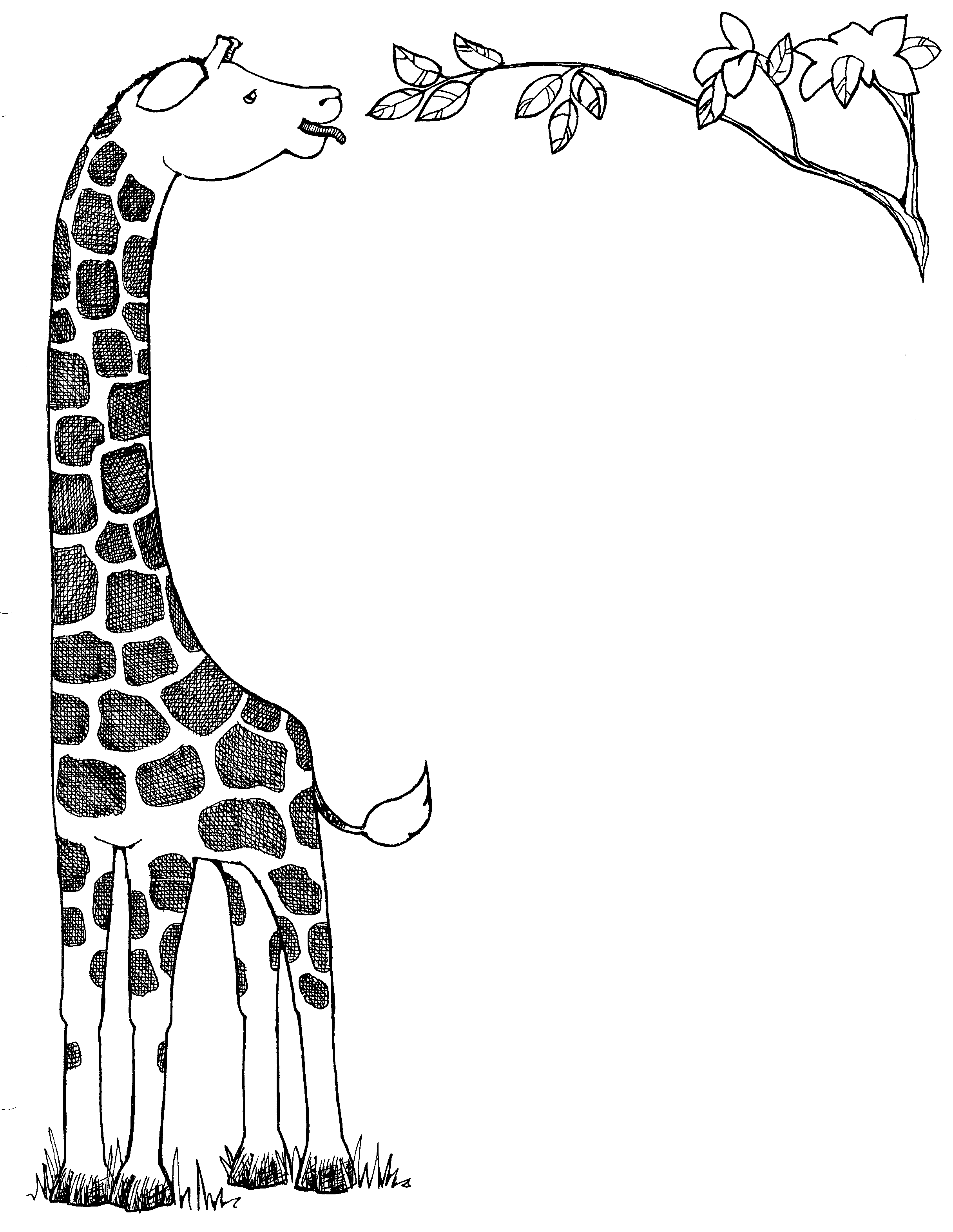 free black and white giraffe clipart - photo #18