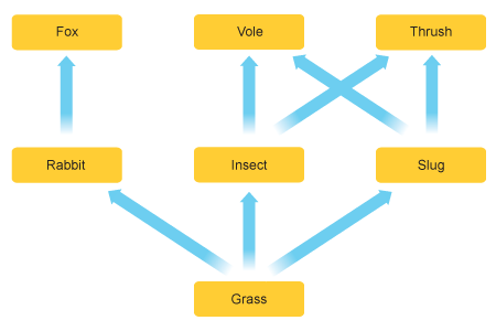 BBC - KS3 Bitesize Science - Food chains : Test