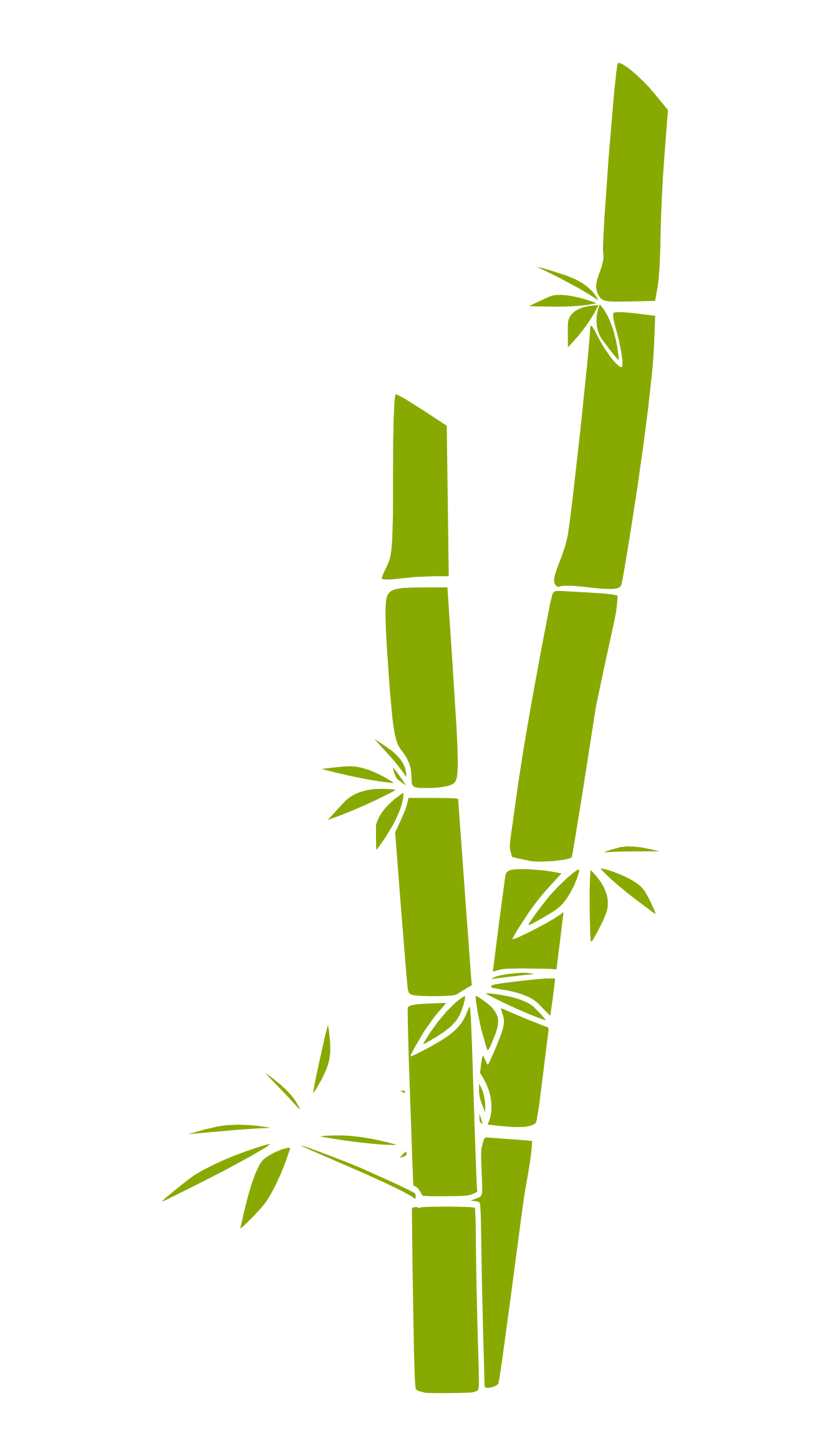 Bamboo Grass Tree 114 555px.png