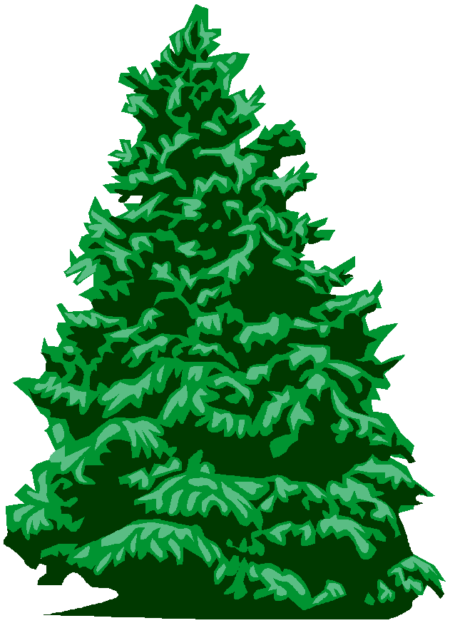 Gallery Images For Fir Tree Clip Art.