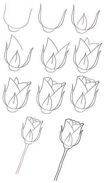 How to draw a rose instructions
