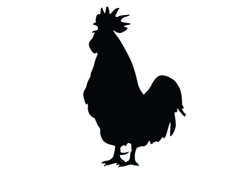 Chicken Silhouette Vector Download Silhouette Graphics