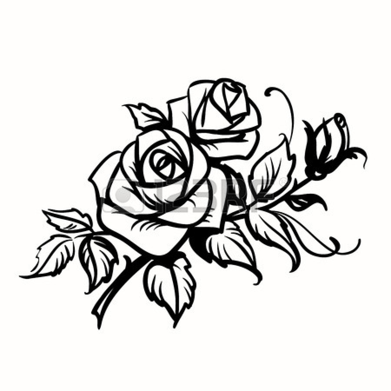 Rose Outlines