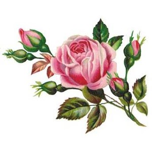Beautiful rose bouquet clip art collection :: Flowers Photo ...