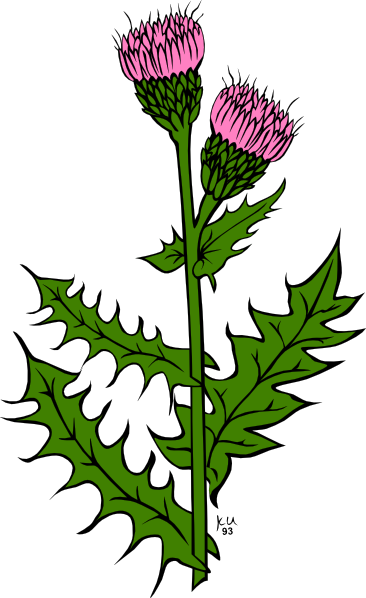 Weed With Pink Buds Clip Art - vector clip art online ...