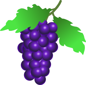 Grapes Vine Clip Art - vector clip art online ...