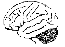 Neuroscience for Kids - Coloring Book
