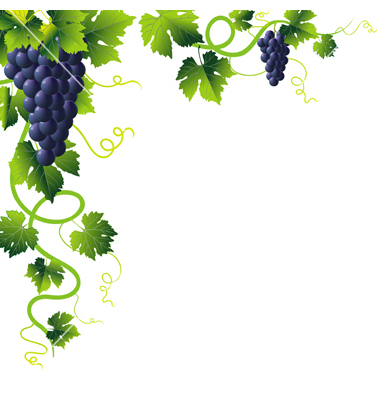 Grapes Vine Clip Art Vector Free For Download