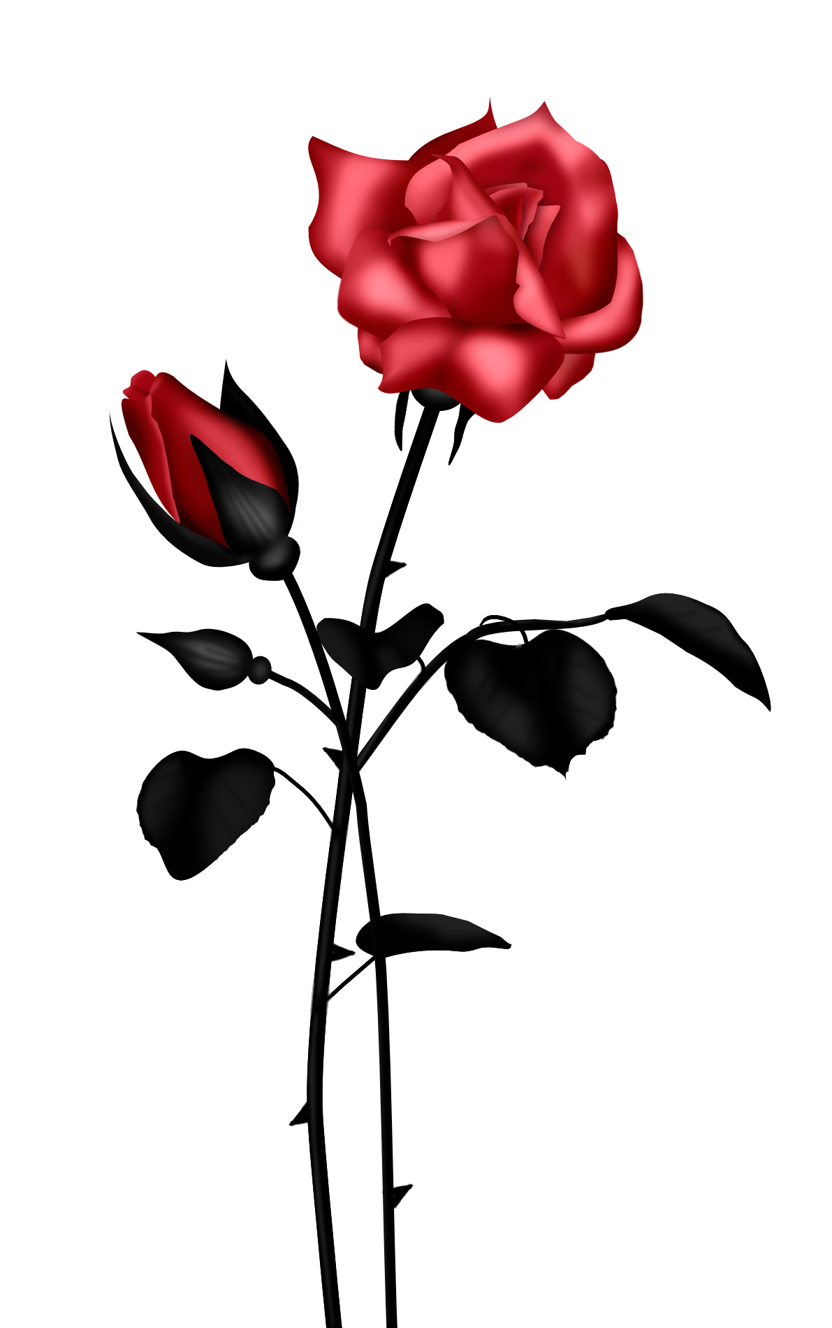 Rose Red Flower Clip Art Vector Online Royalty Free Images