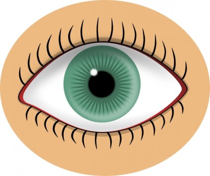 Cartoon Eye clip art Vector clip art - Free vector for free download