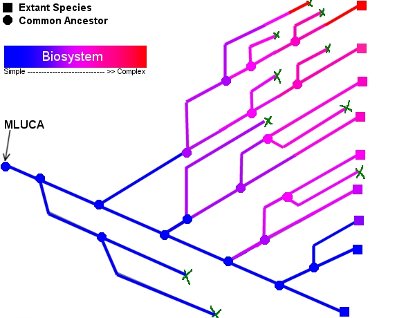 36: Evolution Explodes, Gets Hung on a Phylogenetic Tree ...