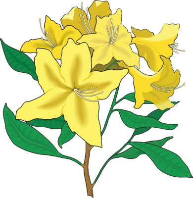 200 realistic free flower clip art - Seivo ...