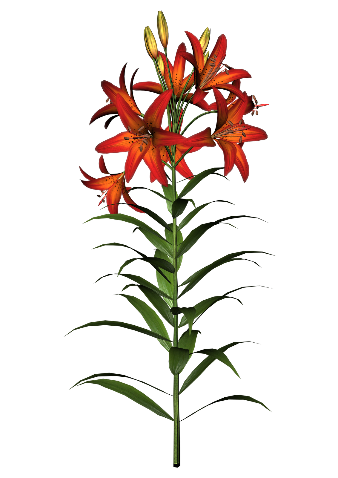 clipart of easter lilies - photo #39