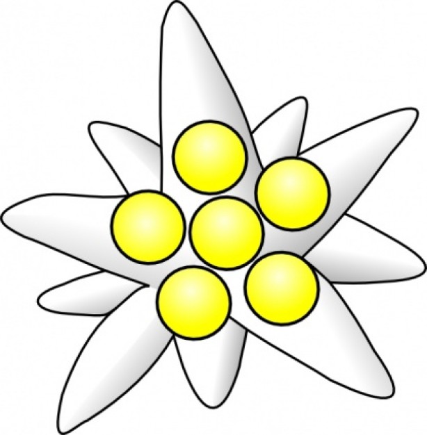 Flower Circles clip art | Download free Vector