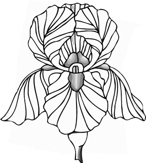 Line Drawing Of Flowers