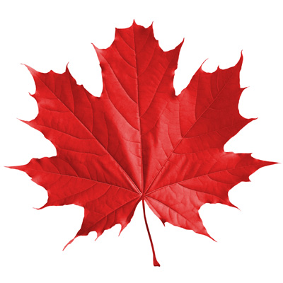 Maple Leaf : 365 t-shirt designs