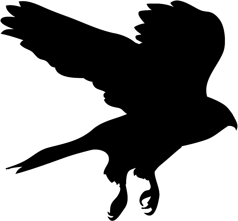 Free Hawk Clipart | Free Download Clip Art | Free Clip Art | on ...