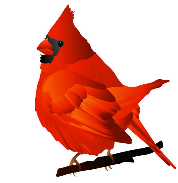Red cardinal bird clip art