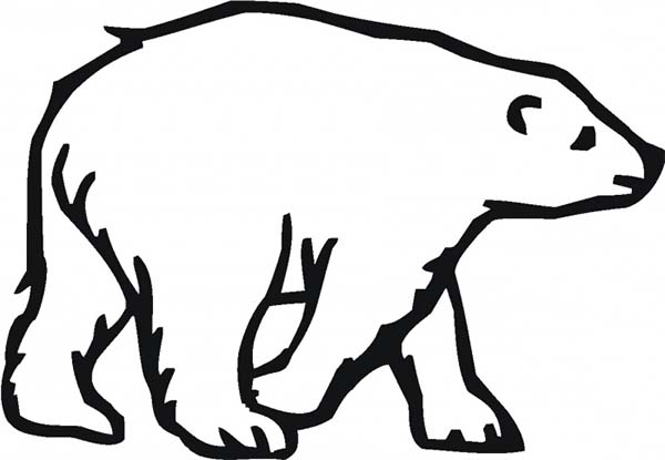 polar bear - Free Coloring Sheets