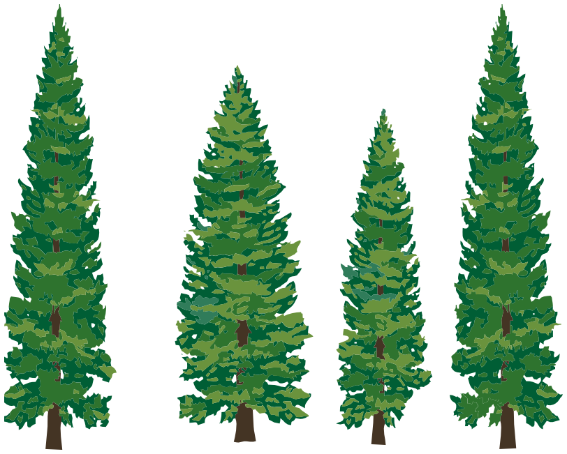 Evergreen Tree Clipart