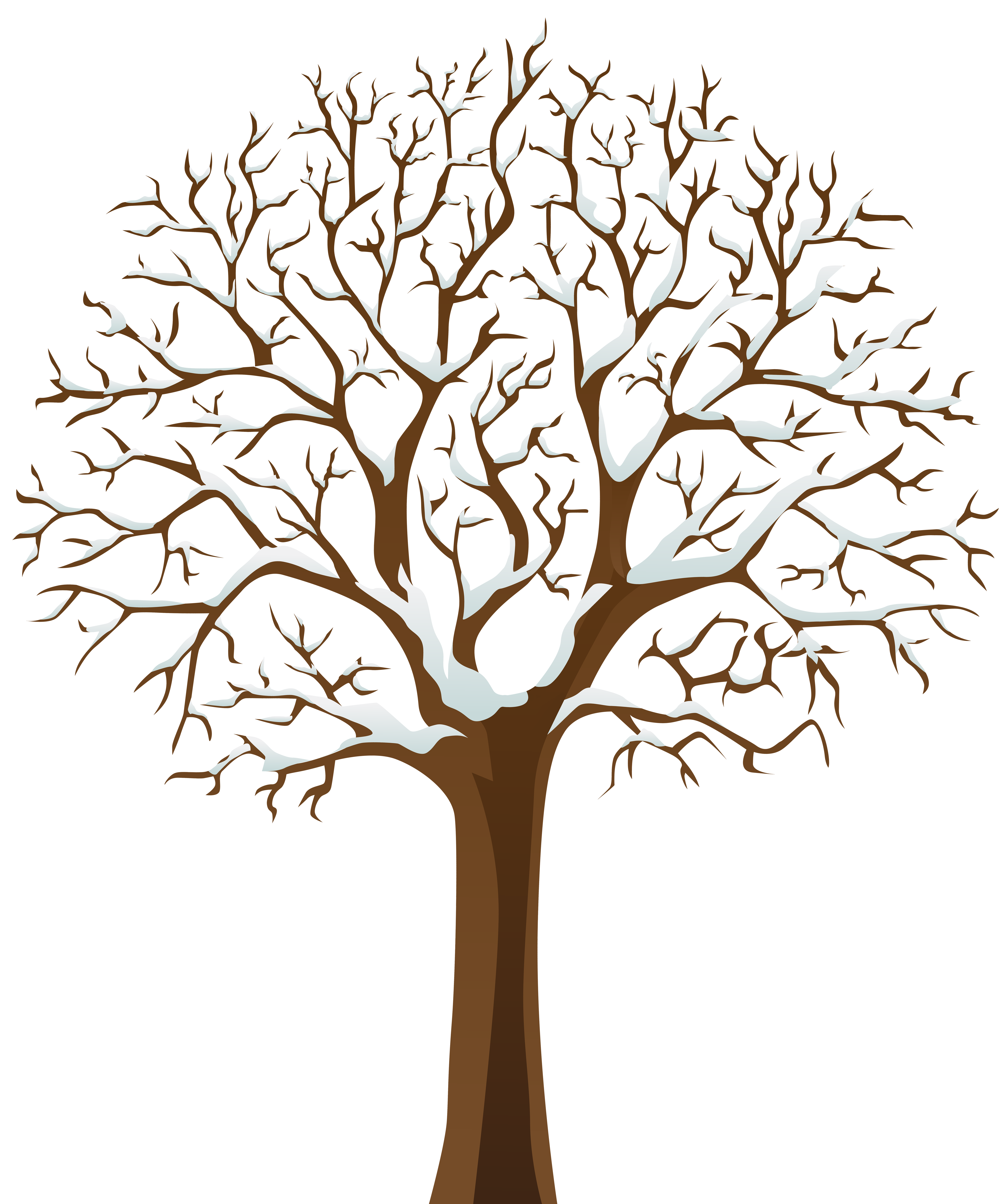 Snowy Winter Tree Transparent PNG Image