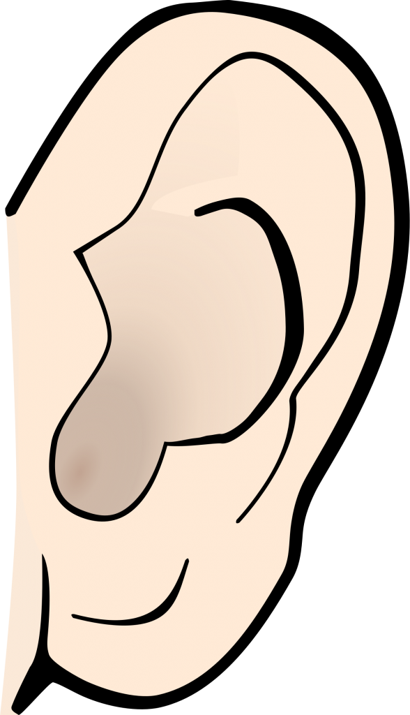 62 Free Ear Clipart - Cliparting.com