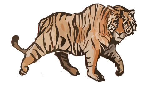 tigerwalk.gif