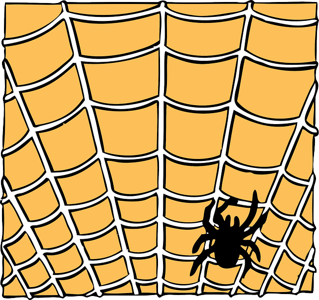Free pictures SPIDERS - 27 images found