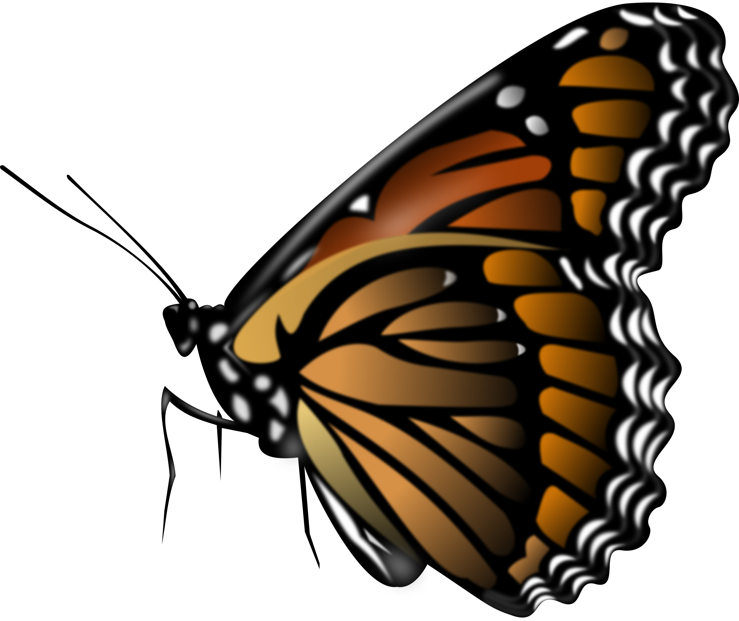 Clipart - Monarch Butterfly