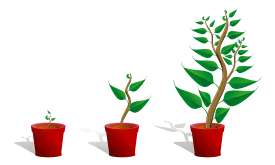 Hanging Plant Pot Vector - Download 1,000 Vectors (Page 1)