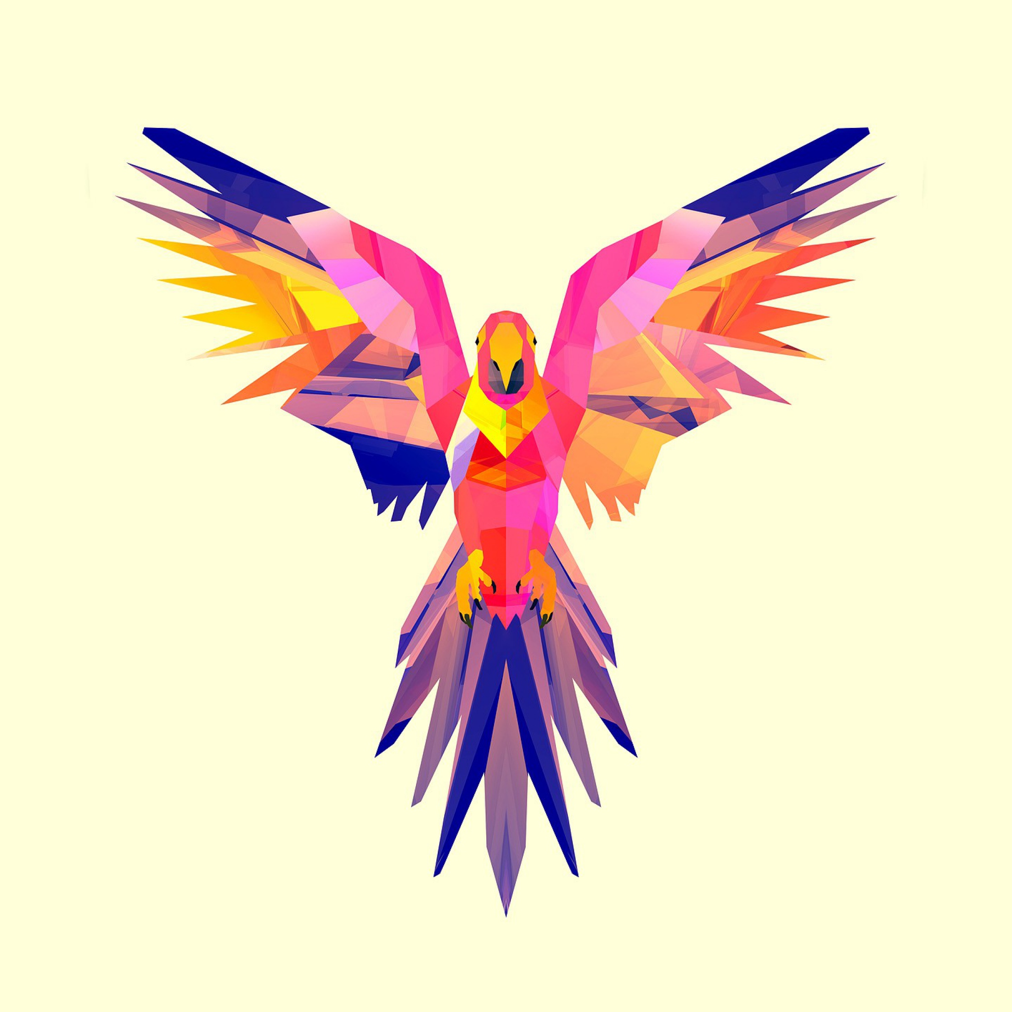 Download Wallpaper 2048x2048 Parrot, Vector, Drawing, Bright ...