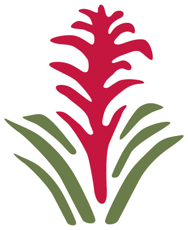 Bromeliad Flower Stencil for Painting - Contemporary - Wall ...