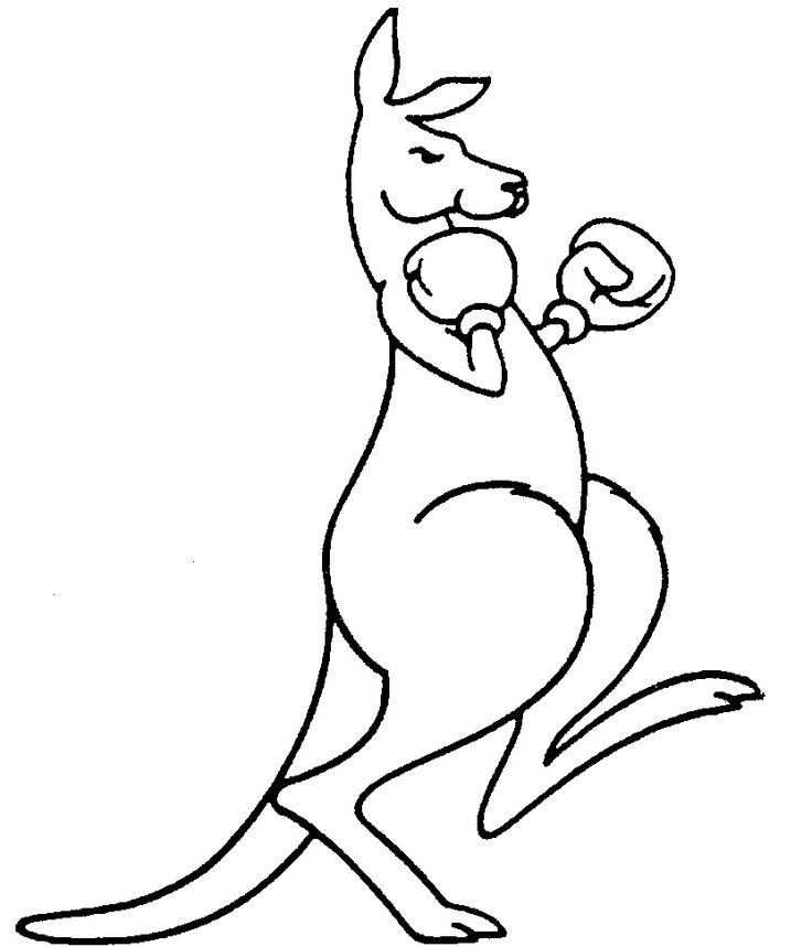 Kangaroo Illustration | Edward Lear ...